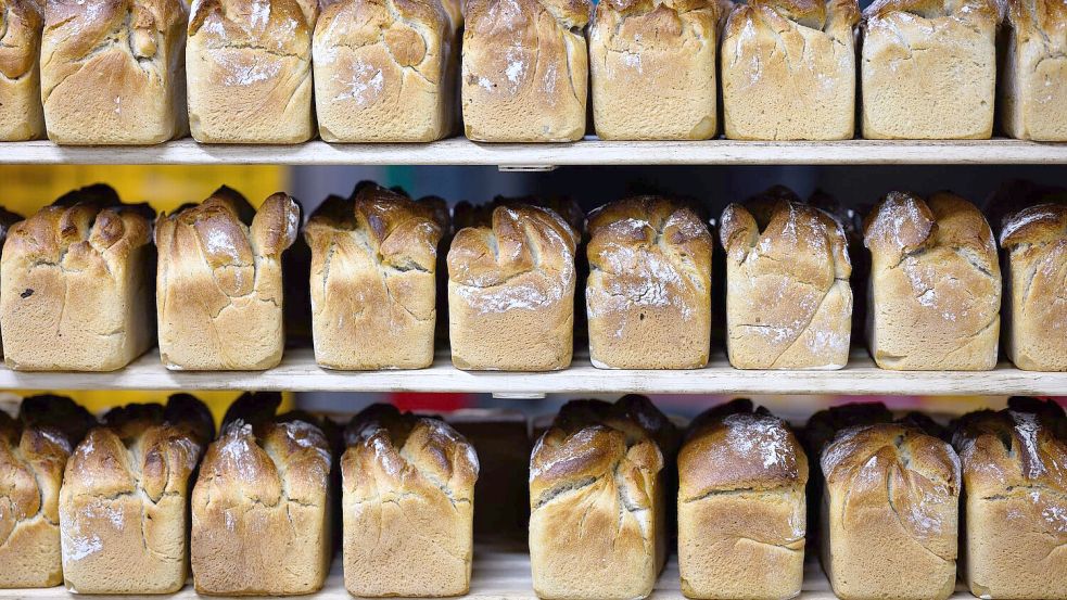 Die kleinen und mittelständischen Unternehmen in Deutschland geraten wirtschaftlich stärker unter Druck (Archivbild). Foto: Bernd von Jutrczenka/dpa