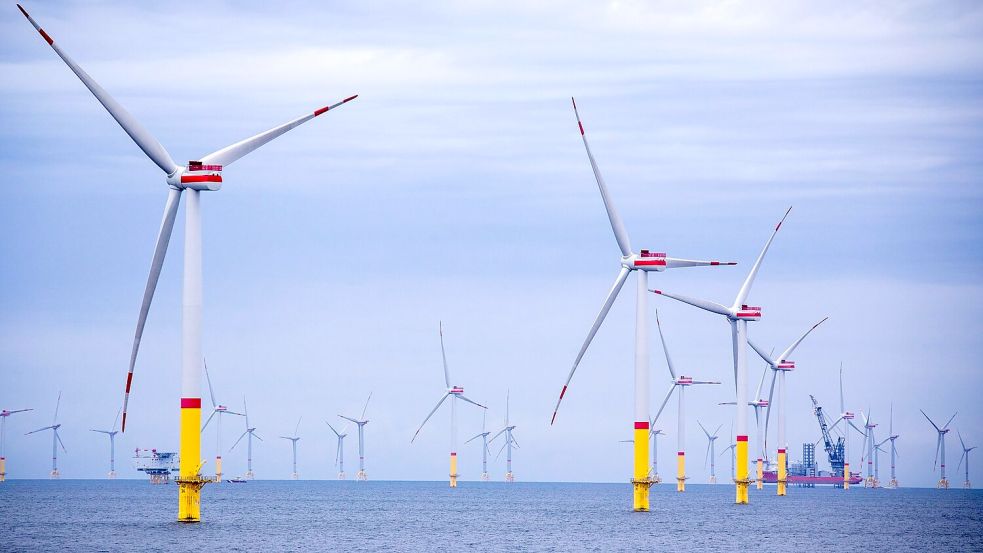 Die Windparks in der Ostsee produzierten nach Angaben des Netzbetreibers 50Hertz im vergangenen Jahr etwa zehn Prozent mehr Strom als im Jahr zuvor. (Archivbild) Foto: Jens Büttner