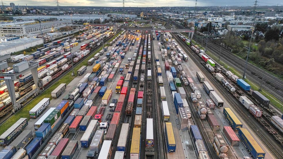 „Allzu oft ist die biologische Vielfalt ein unsichtbarer und entbehrlicher Vermögenswert in der Bilanz“, sagt Qu Dongyu, Generaldirektor der Ernährungsorganisation FAO. Foto: Oliver Berg