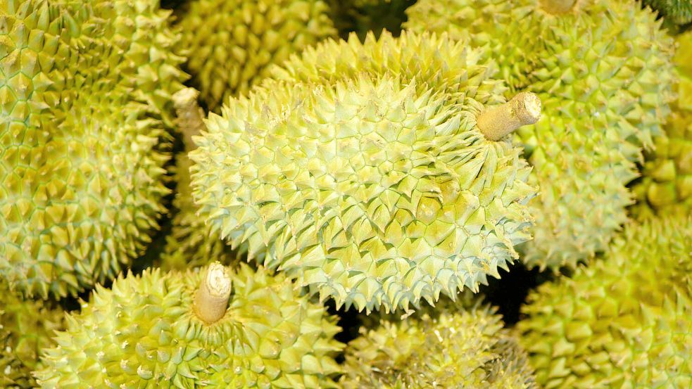 Wächst nicht in Deutschland, sondern in Asien: die Durian. Foto: IMAGO/Zoonar