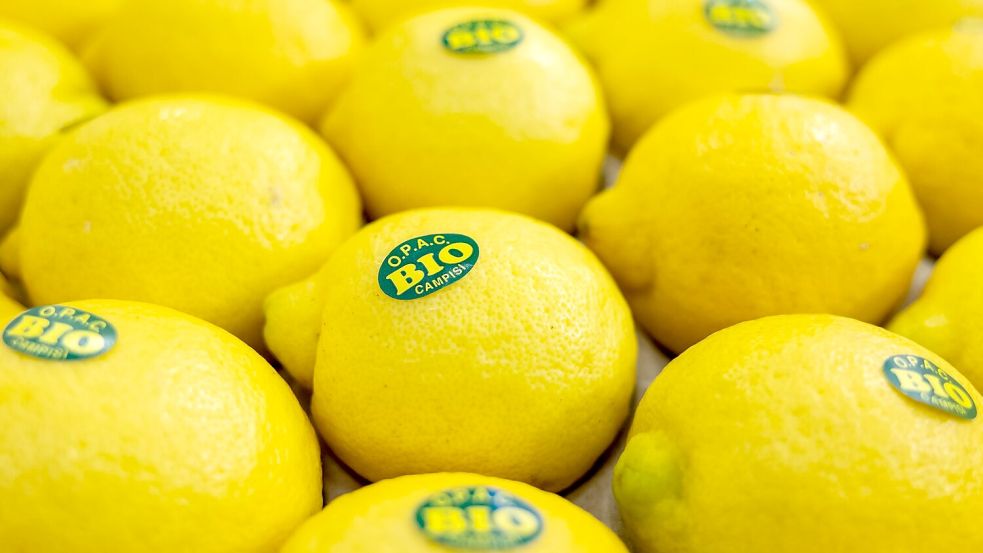 In Nürnberg eröffnet die weltweit größte Messe der Biobranche. Produkte aus nachhaltigem Anbau boomen. (Archivbild) Foto: Daniel Karmann