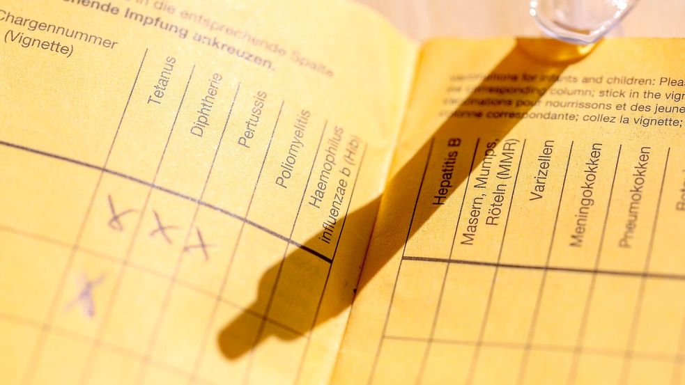 Impfpass mit Impfspalten und handschriftlichen Markierungen zu verschiedenen Schutzimpfungen Foto: Fernando Gutierrez-Juarez/dpa