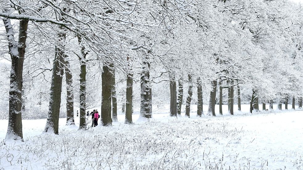 Das winterliche Wetter wird am Wochenende wahrscheinlich noch ein „Update“ bekommen. Foto: Klaus Ortgies