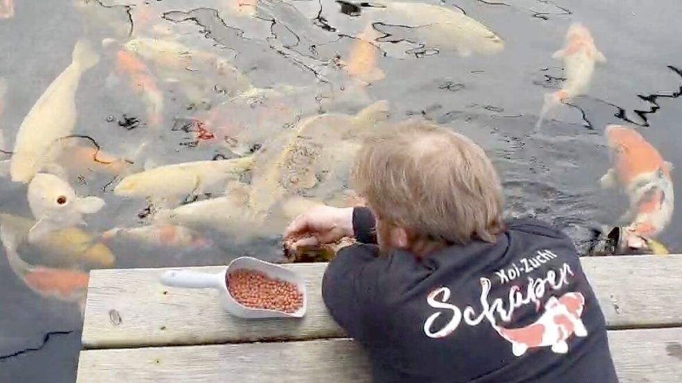 Fütterungszeit. Foto: Ernst Schaper