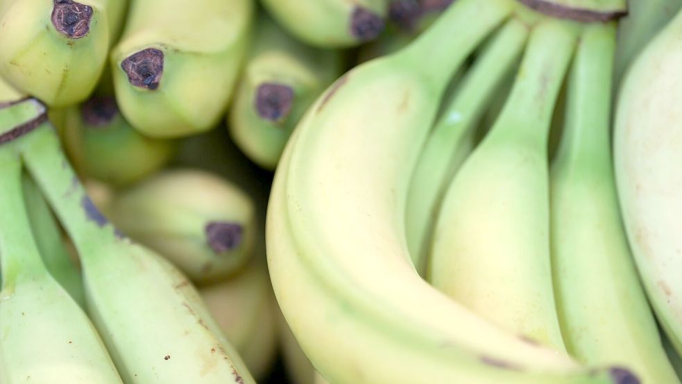 Preise für viele Lebensmittel haben im Januar angezogen. (Symbolbild) Foto: Marcus Brandt