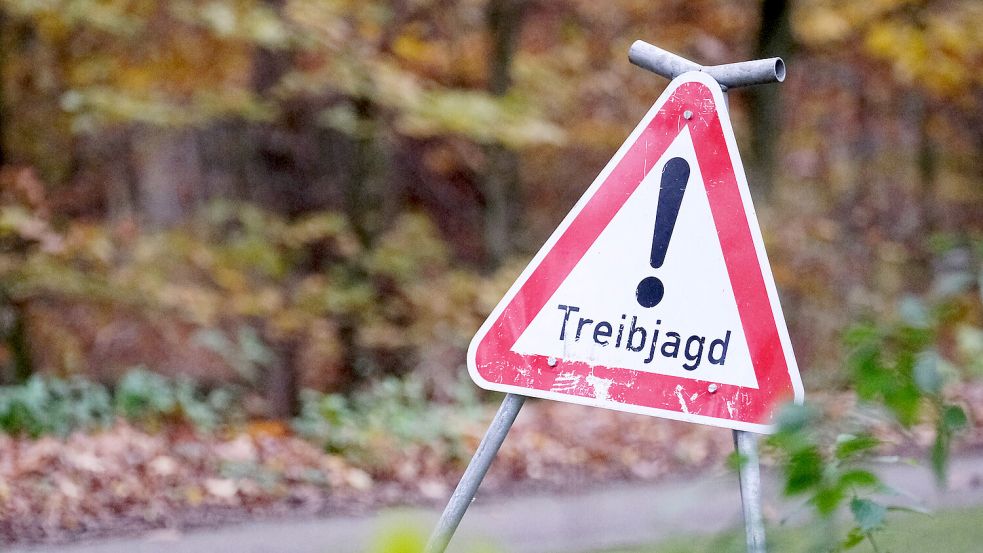 Derzeit wird vor allem mit Schildern auf akute Treibjagden aufmerksam gemacht. Foto: DPA
