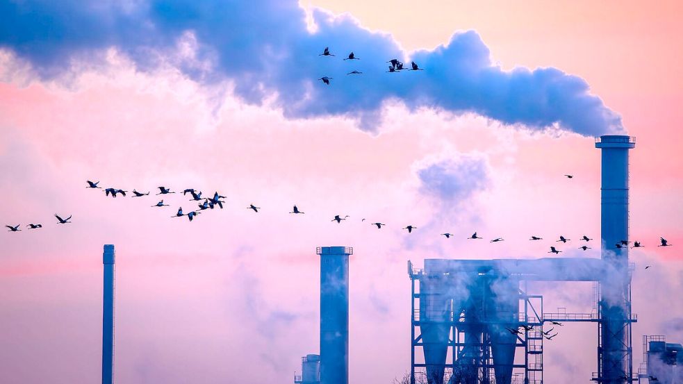 Die Lage der Industrie ist angespannt, 2026 drohen neue Einschnitte. (Symbolbild) Foto: Jens Büttner