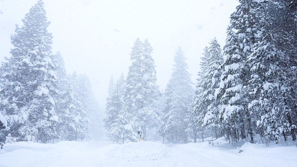 Acht zuvor vermisste Skifahrer sind nach dem Lawinenabgang tot gefunden worden - hieß es von den örtlichen Behörden. Foto: Brooke Hess-Homeier/AP/dpa