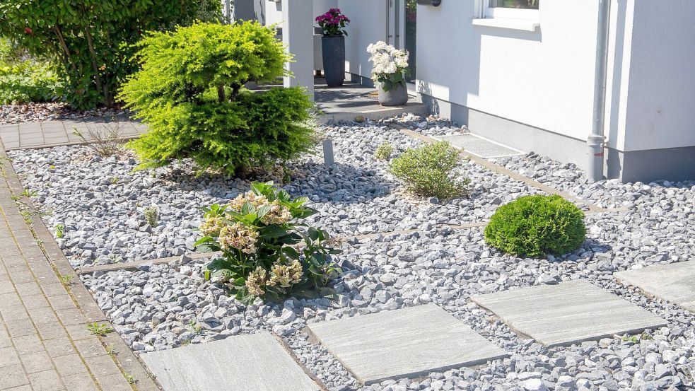 Solche Schottergärten sind in Niedersachsen verboten. Das Foto zeigt keinen Garten in Osnabrück. Foto: IMAGO/Udo Herrmann
