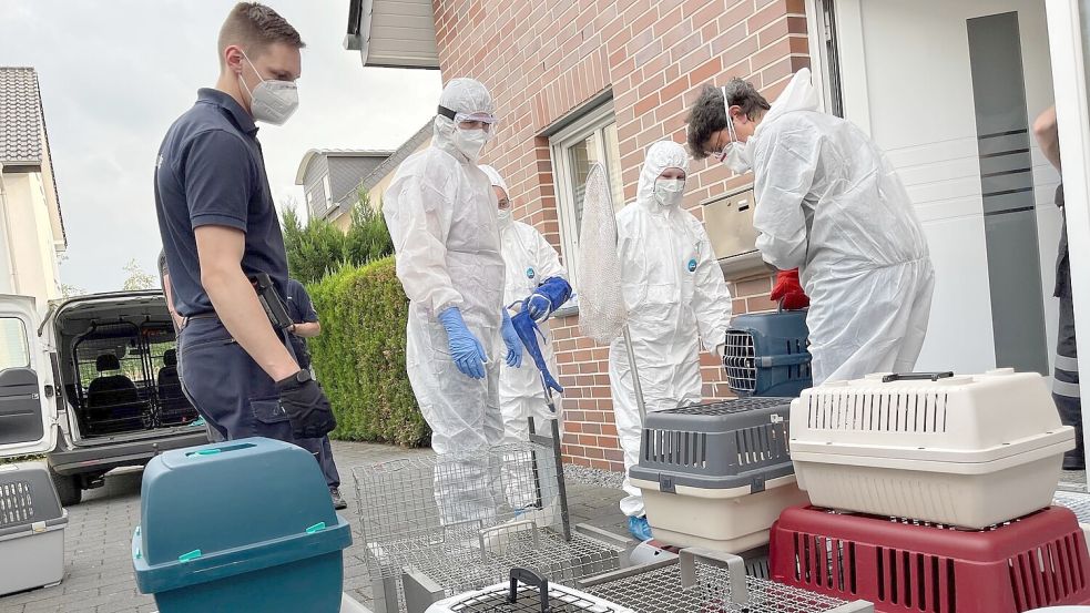 Auch im Landkreis Aurich gibt es Fälle, in denen Haltern ihre Tiere weggenommen werden müssen. Bei dem Foto handelt es sich um ein Symbolbild aus einer anderen Region.Symbolfoto: DPA