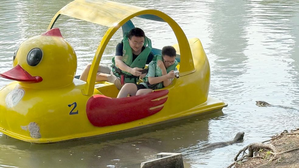 Die urzeitlichen Warane sind ein beliebtes Fotomotiv. Foto: Carola Frentzen