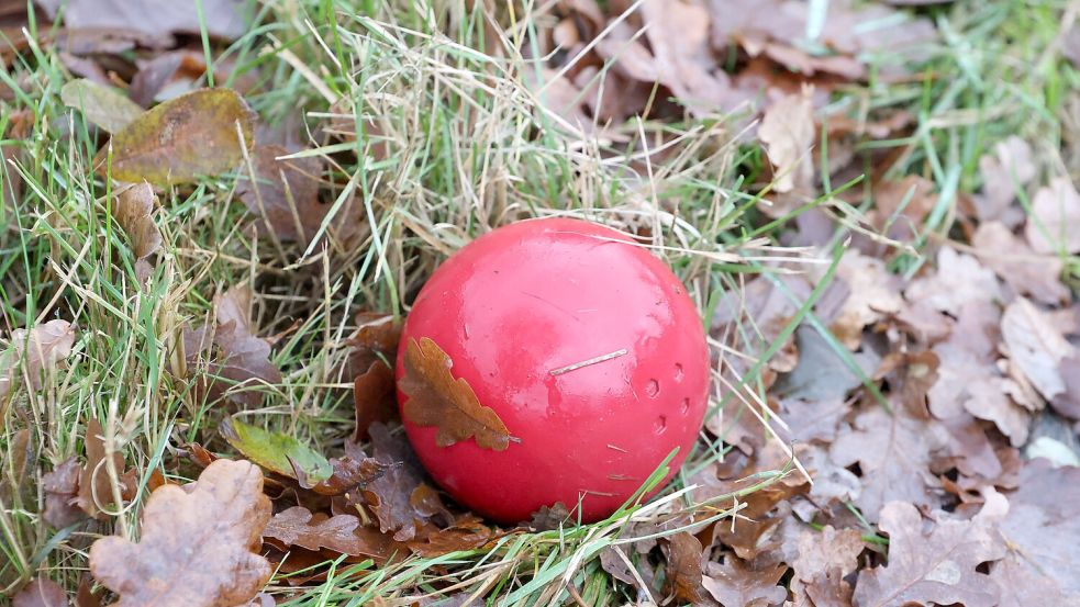 Meister Pfalzdorf gewann auch das Derby gegen Westersander. Foto: Wilfried Gronewold