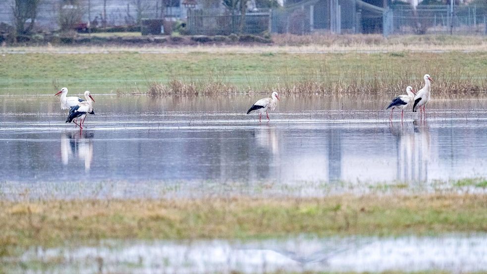 An eigenen Pegeln in Bayern ist die Meldestufe 3 überschritten. Foto: Pia Bayer/dpa