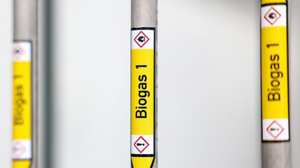 Biogas soll beim Klimaschutz helfen. (Archivbild) Foto: Jan Woitas
