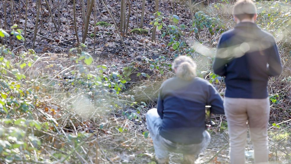 In diesem Waldstück in Duisburg wurde die Leiche einer Frau gefunden. Foto: Christoph Reichwein