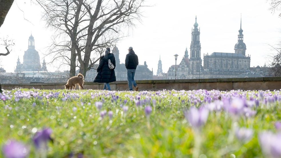 Frühlingshaftes Wetter kündigt sich schon vor dem meteorologischen Frühlingsbeginn am 1. März an. Foto: Sebastian Kahnert