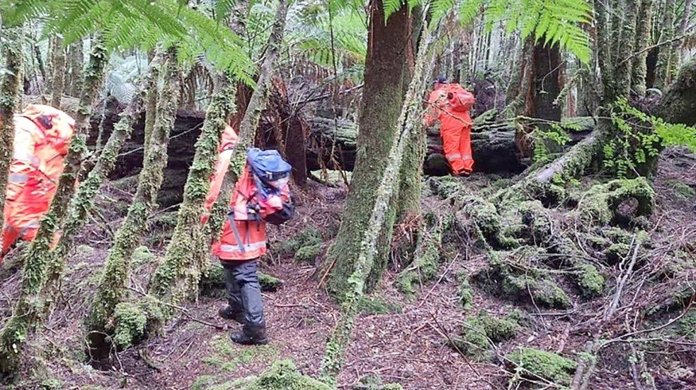Einsatzkräfte suchten 2023 die dichten Wälder Tasmaniens nach der 31-Jährigen ab. (Archivbild) Foto: Supplied