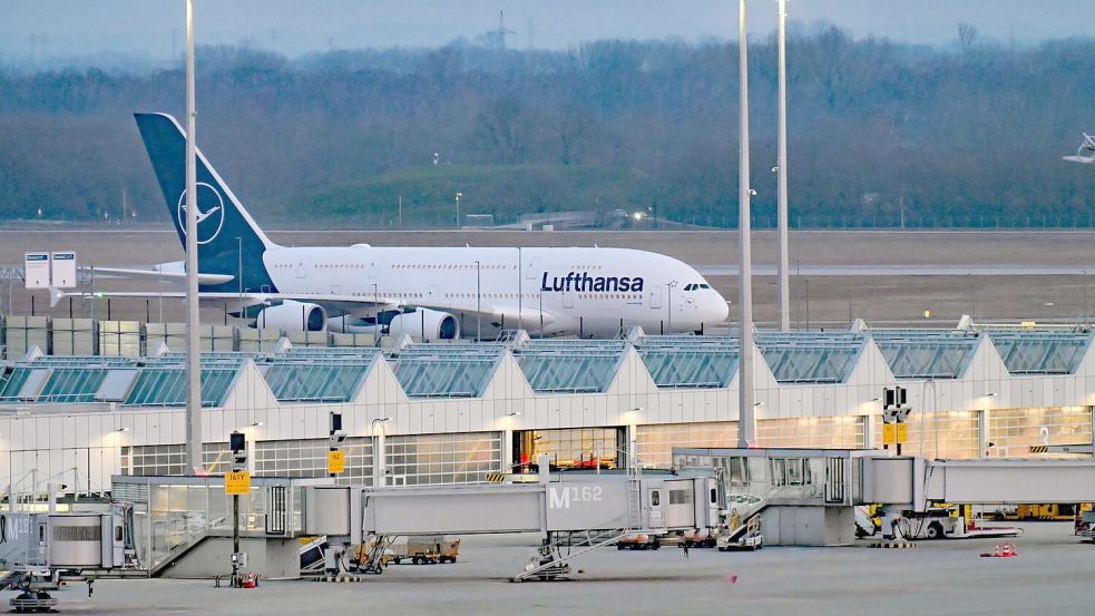 Viele Menschen warten dringend auf die Heimreise - doch dieses Flugzeug fliegt ohne Passagiere. Foto: Malin Wunderlich