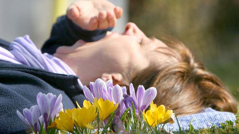 Eine Frau liegt auf einer mit Krokussen bewachsenen Wiese und gähnt. (Archivbild) Foto: picture alliance / dpa