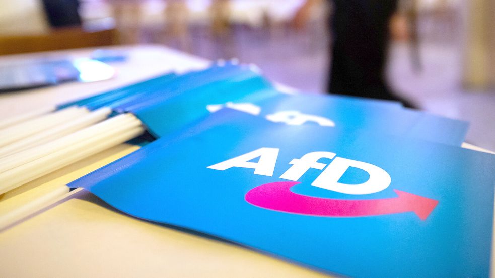 Die Alternative für Deutschland (hier Fähnchen mit dem Parteilogo) mischt ab sofort im Brookmerlander Bürgermeisterwahlkampf mit. Foto: DPA