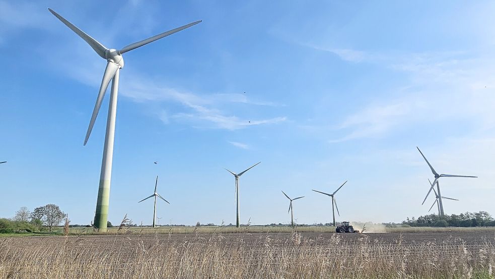 Der bislang einzige Brookmerlander Windpark steht in der Gemeinde Osteel. Er soll um weitere Anlagen erweitert werden. Foto: Sarah Dirks