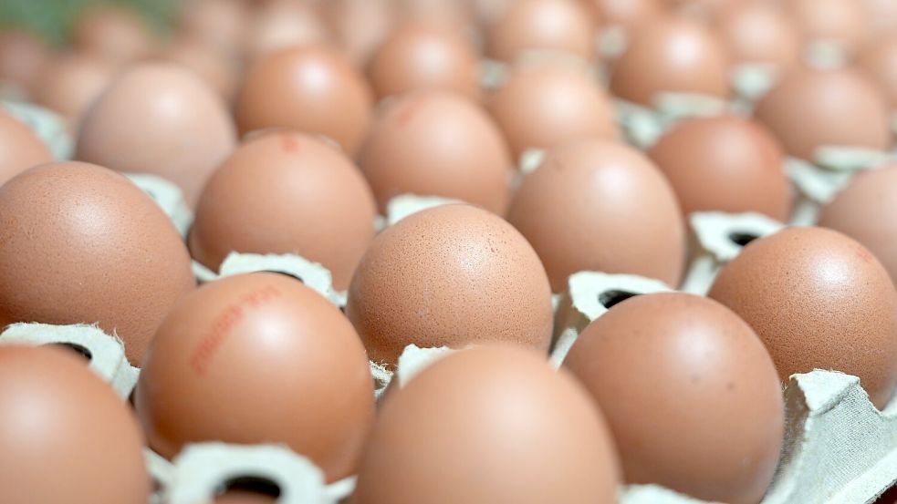 Die Verbraucher essen mehr Eier als noch vor ein paar Jahren. Foto: Marcus Brandt