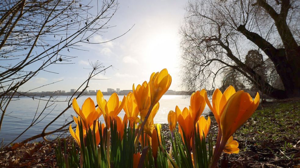In der nächsten Woche wird es wieder wärmer und sonniger. Foto: Christian Charisius