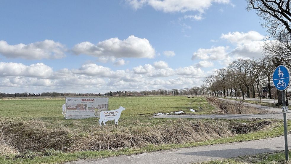 Auf diesem Grünland verläuft künftig die Schleife der K 115n, die die Bundesstraße mit der Brücke zur Klinik verbindet. Foto: Karin Böhmer