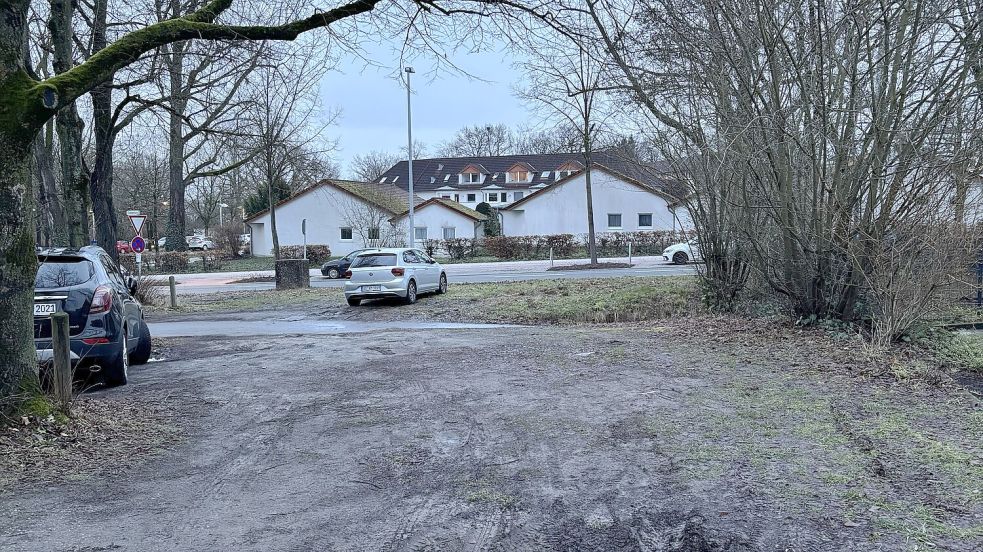 So sehen die ehemaligen Grünflächen an der Trotzenburg mittlerweile aus. Foto: Liv Schmidt
