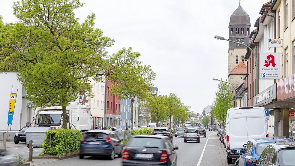 Schmale Radfahrstreifen, hohes Dooring-Risiko: Für Radfahrer kann die Fahrt auf der Iburger Straße schnell gefährlich werden. Foto: Benjamin Beutler