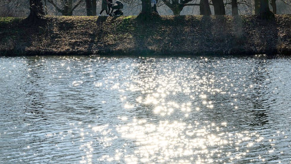 Wasser ist lebenswichtig für Menschen, Tiere und Kleinstorganismen. (Archivbild) Foto: Hendrik Schmidt