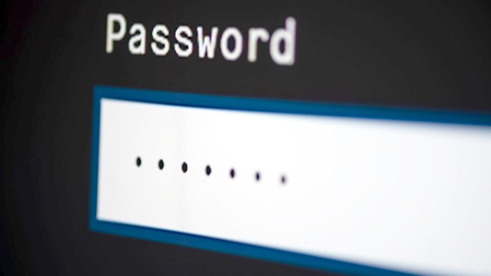 Viele Internetnutzer vernachlässigen den Schutz ihrer E-Mail-Konten drastisch. (Symbolbild) Foto: Fabian Sommer