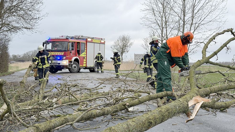 Die Feuerwehren in Ostfriesland waren zu mehreren Einsätzen ausgerückt. Foto: Feuerwehr Norden/Thomas Weege
