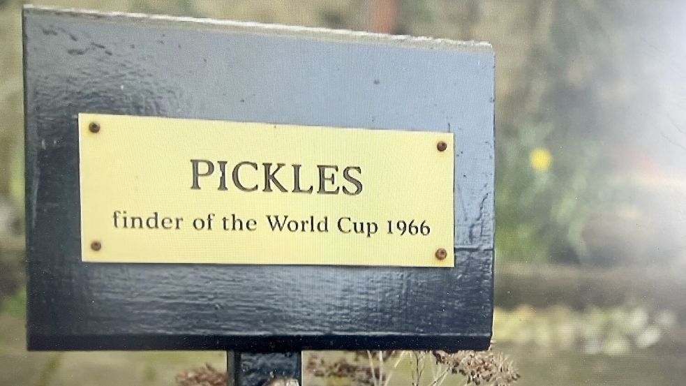 Die letzte Ruhestätte fand Pickles im Garten seines Herrchens Dave Corbett. Foto: BBC