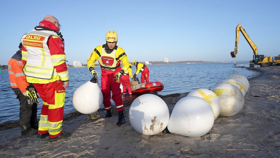 Experten versuchten tagelang das gestrandete Tier zu retten. Foto: Marcus Brandt/dpa