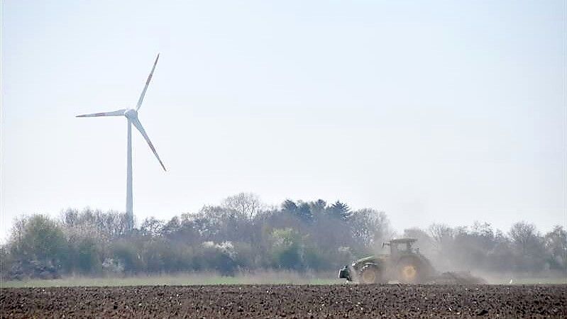 Schon im vergangenen Jahr hatten Landwirte wie hier in Siegelsum mit Trockenheit zu kämpfen. Foto: Thomas Dirks