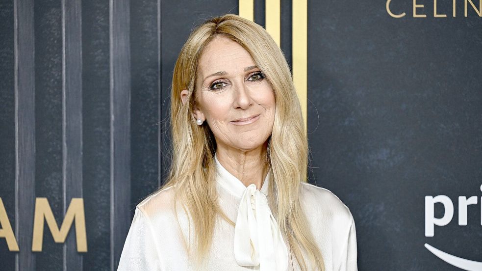 Dion gab immer wieder tiefe Einblicke in ihr Leben mit der Krankheit. (Archivbild) Foto: Evan Agostini/Invision/AP/dpa