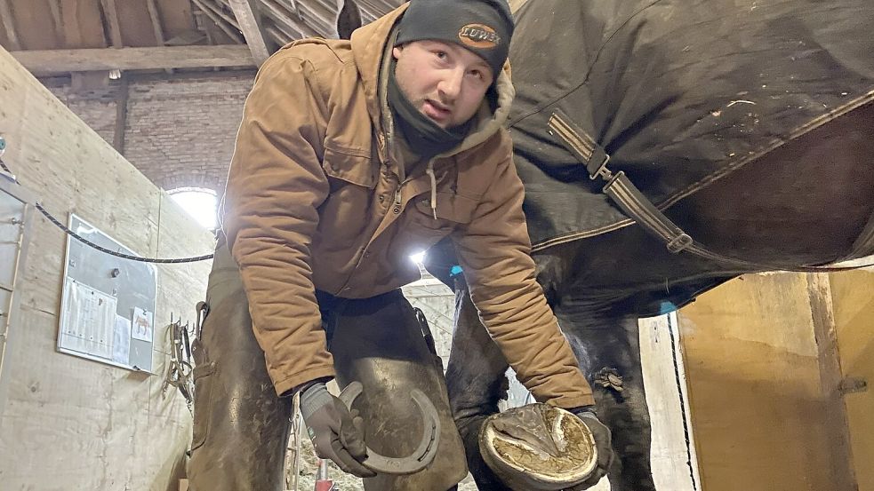 Der Ihlower Hufschmied Marten Popp zeigt ein Hufeisen und den großen schweren Huf der Kaltblutstute „Anni“. Foto: Christin Wetzel