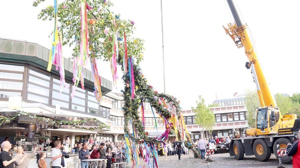 In den vergangenen zwei Jahren hing der Auricher Maibaum am Stahlseil des Krans. In diesem Jahr hängt er am seidenen Faden. Foto: Karin Böhmer