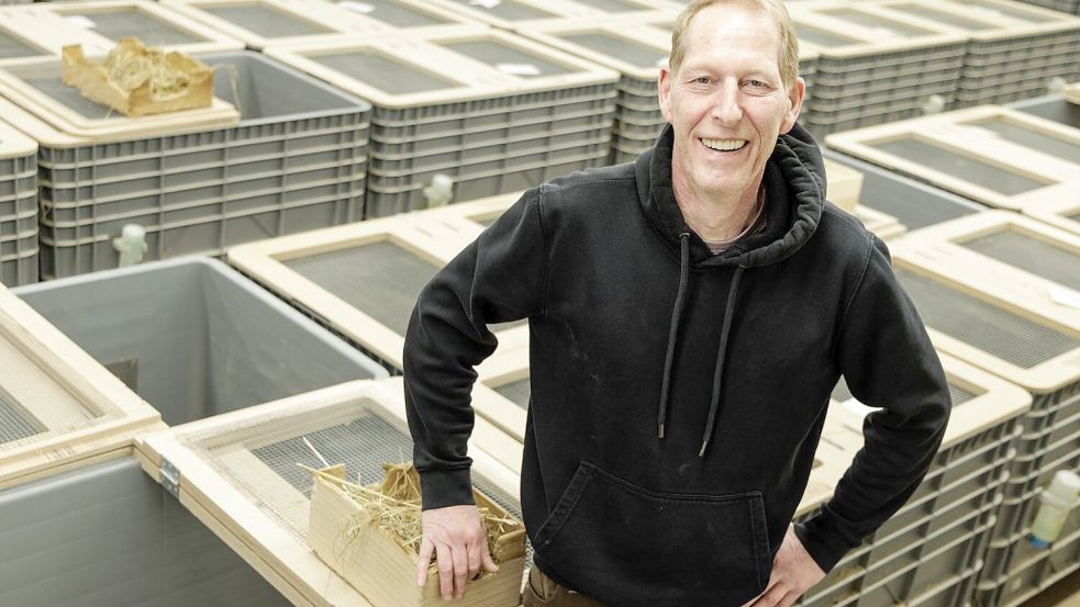 Tierpfleger Jörg Kritschker bringt die für die Verpaarung vorgesehenen Weibchen und Männchen zusammen. Foto: David-Wolfgang Ebener