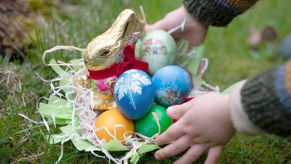 Vor Ostern ist die Nachfrage nach Hühnereiern besonders hoch. (Symbolbild) Foto: Hendrik Schmidt