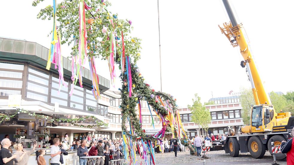 •2024 musste erstmals ein Kran anrücken, um den Auricher Maibaum hochzuziehen. Auf dem Marktplatz übernahm dies zuvor ein Bagger. Foto: Karin Böhmer