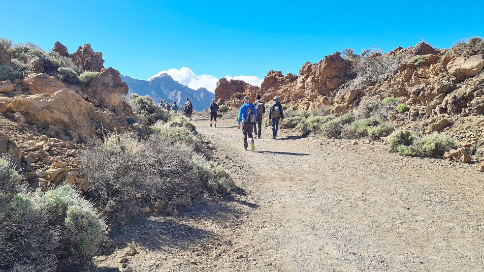 Seit Sommer 2022 wurde ein junger Backpacker aus Niedersachsen auf Teneriffa vermisst, der dort zum Wandern war - nun wurde sein Tod bestätigt. (Symbolbild) Foto: Roswitha Bruder-Pasewald