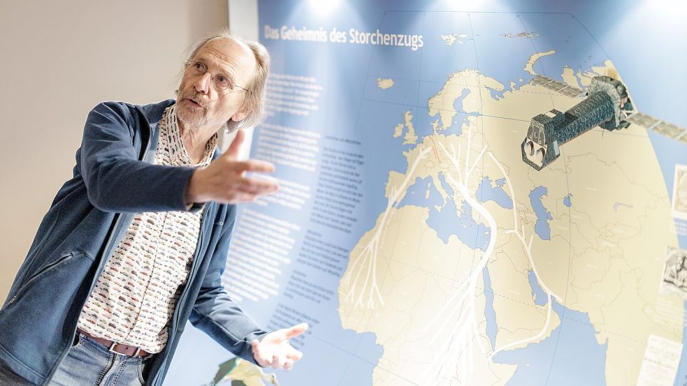 Vogelschützer Alfons Rolf Bense zeigt im Westfälischen Storchenmuseum eine Karte mit den Zugstrecken der Störche zu den Winterquartieren. Eine Hauptroute führt nach Westen über die Meerenge von Gibraltar nach Afrika. Viele dieser Westzieher fliegen aber gar nicht mehr so weit über das Mittelmeer. Die andere Hauptroute führt Richtung Osten über den Bosporus nach Afrika. Foto: David Ebener