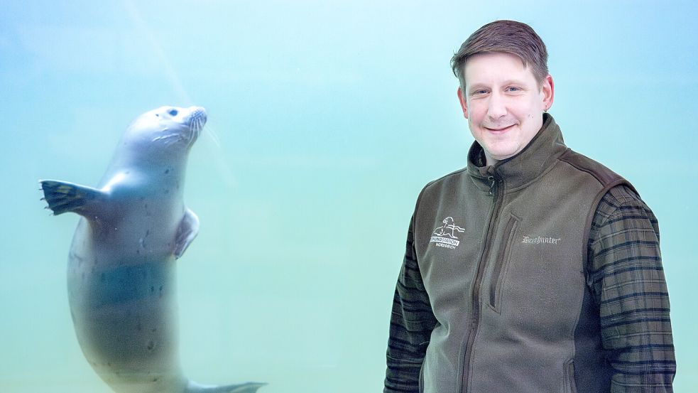 Seehunde sind das zentrale Fachgebiet von Tierpfleger Tim Fetting. Mit gestrandeten Walen in der Nordsee kennt er sich allerdings ebenfalls aus. Foto: Sina Schuldt/DPA