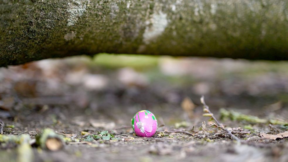 In einem Waldstück im Norden Schleswig-Holsteins ist ein Baum auf eine Gruppe gestürzt. Foto: Daniel Reinhardt