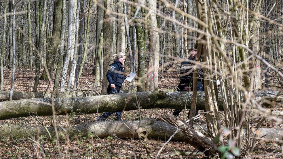 Einsatzkräfte untersuchen den Baum. Foto: Benjamin Nolte/dpa