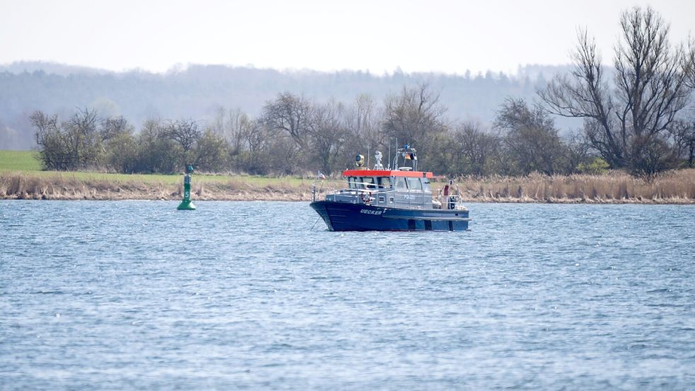 Es ist laut Experten nicht möglich, den Wal zu töten. Foto: Philip Dulian