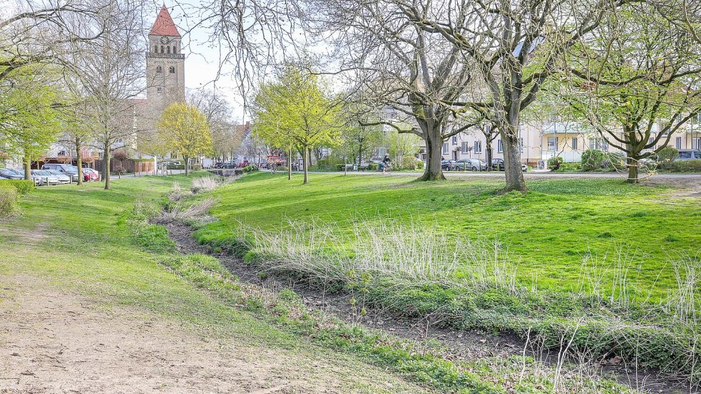Statt über die Iburger Straße will die CDU Radfahrer in Osnabrück verstärkt auf einer Ausweichroute führen. Foto: Jörn Martens