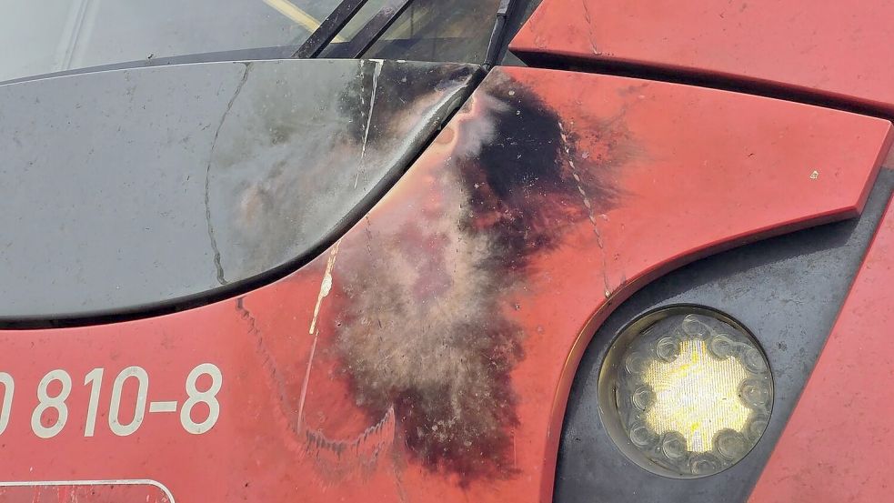 Die defekte Oberleitung hat sichtbare Spuren am Triebwagen hinterlassen. Foto: -/Feuerwehr Haan/dpa